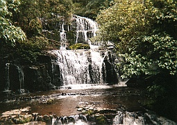 New Zealand - Purakaunui Waterfall